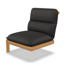 Felloe Left Arm Module - Armless
